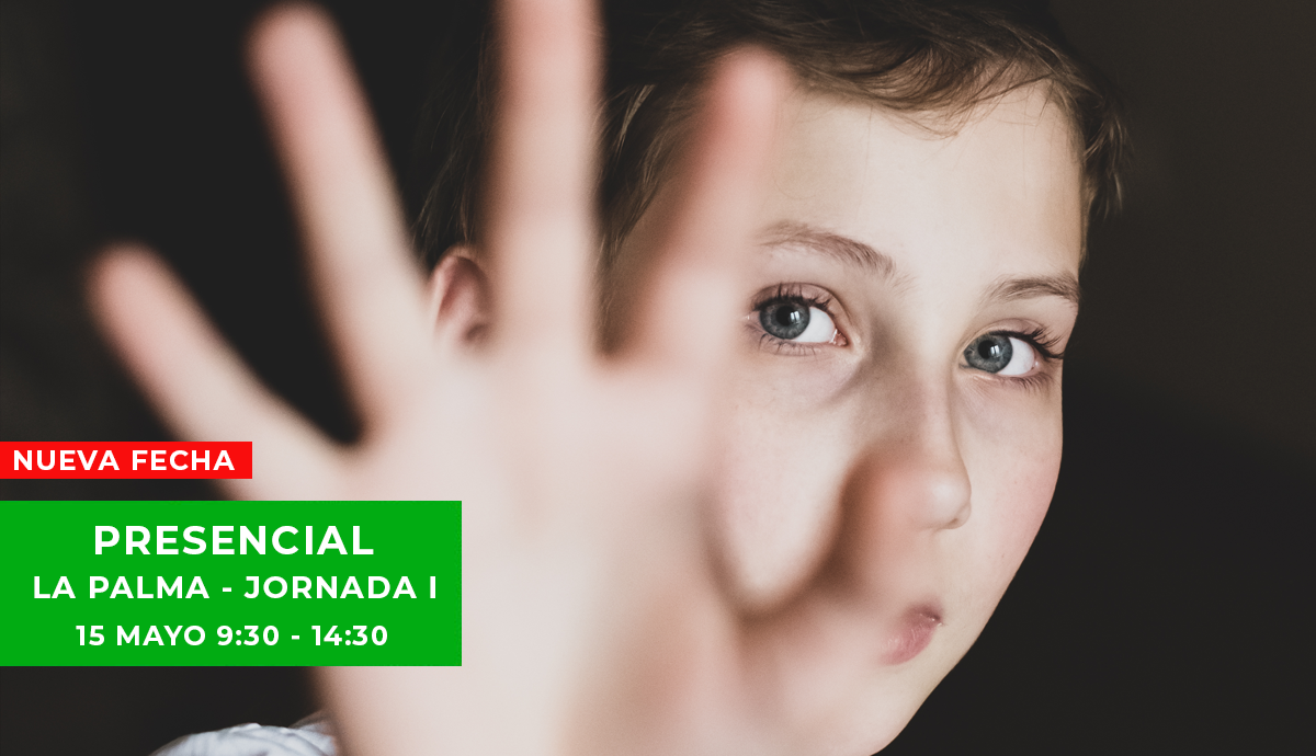 JORNADA PRESENCIAL LA PALMA I 